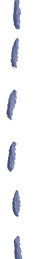 stitch_edited.png