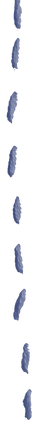 stitch_edited.png