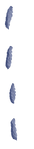 stitch_edited.png